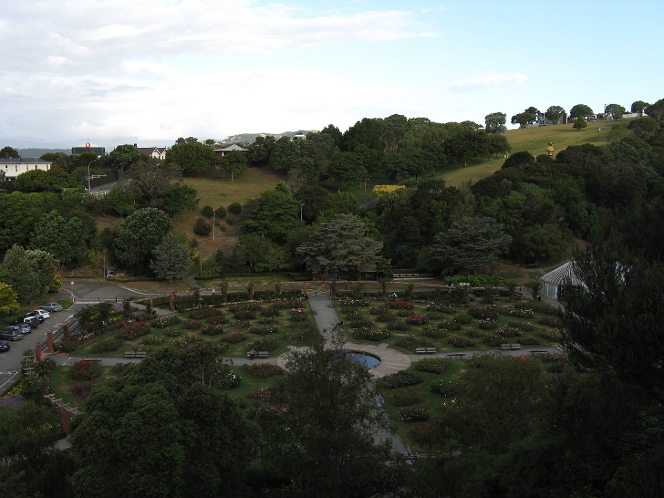 Looking Down on Lady Norwood Rose Garden